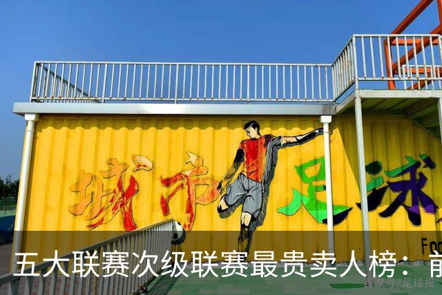 五大联赛次级联赛最贵卖人榜：前十全部来自英冠，M费两度上榜