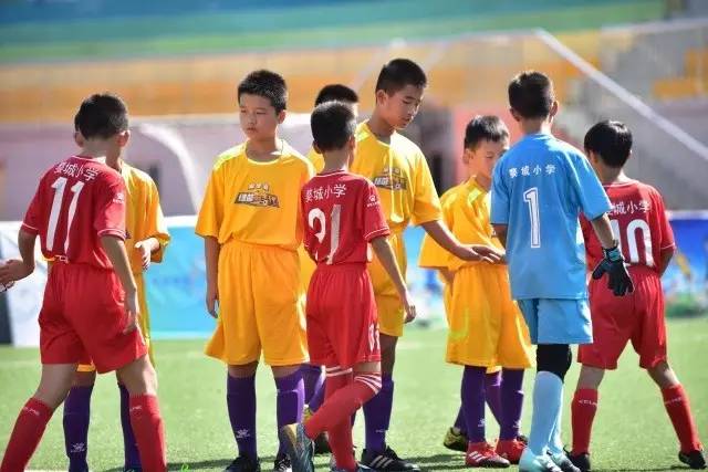 杨健：文班拿球队友有时不太会打 责任心可降低些 别老想生吞对手